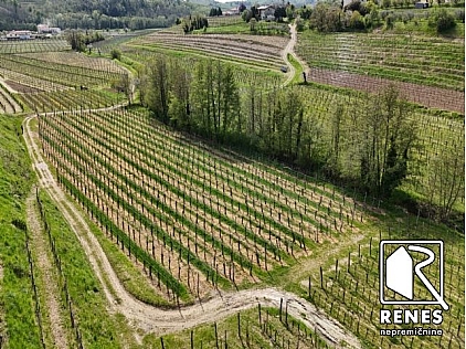 Nepremičnine - Kmetijsko zemljišče, prodaja, Šlovrenc, 30.000 €