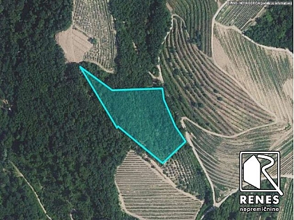 Nepremičnine - Zemljišče, prodaja, Prvačina, 13.500 €