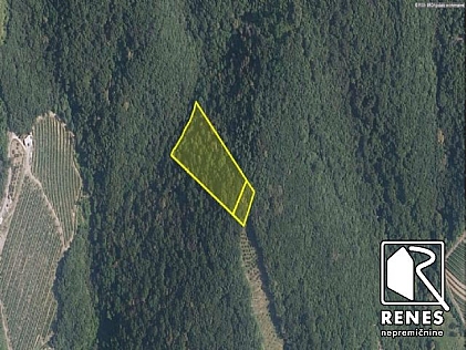 Immobiliare - Bosco, vendita, Vrhovlje pri Kojskem, 20.000 €