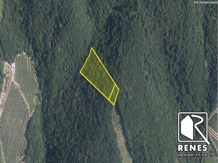Immobiliare - Bosco, vendita, Vrhovlje pri Kojskem, 20.000 €